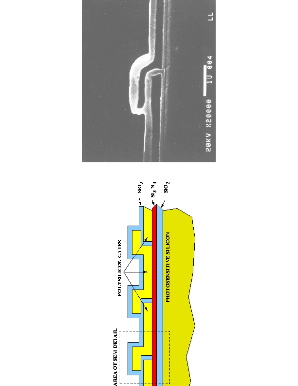 CCD Gate Structure